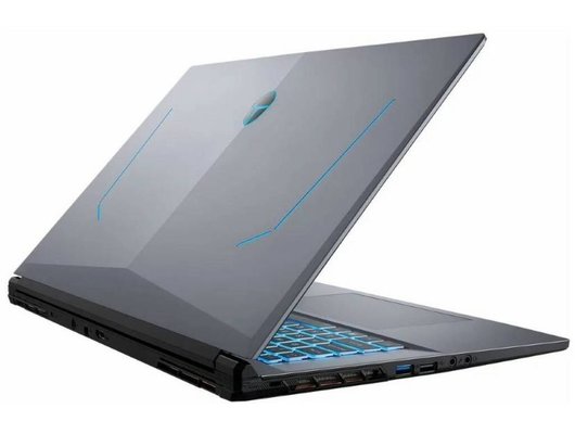 Ноутбук игровой Thunderobot 911 Plus X/Core i5 12450H/16Gb/512Gb/17.3FHD 144Гц/RTX 3050 Ti/Win11 cеребристый